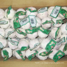 Nuevo embalaje de cartón de cosecha de ajo chino blanco